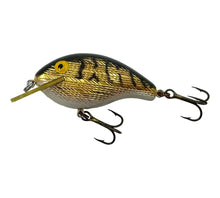 Charger l&#39;image dans la galerie, Left Facing View of REBEL FISHING LURES Square Lip WEE R SHALLOW Crankbait
