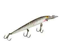 Lataa kuva Galleria-katseluun, Right Facing View of  REBEL LURES FASTRAC MINNOW Vintage Fishing Lure in PEARL/RED MOUTH
