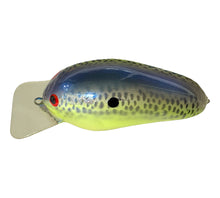 Load image into Gallery viewer, Close Up View of BRIAN&#39;S BEES CRANKBAITS FAT BODY SQUARE BILL Fishing Lure. For Sale Online at Toad Tackle.
