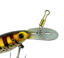 Load image into Gallery viewer, Up Close Eye Blemish View of STORM LURES HOT N &nbsp;TOT Fishing Lure in Brown Trout or Drip Trout
