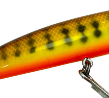 Load image into Gallery viewer, Up Close View of BAGLEY BAIT COMPANY BANG-O 7 Fishing Lure in DARK CRAYFISH on CHARTREUSE
