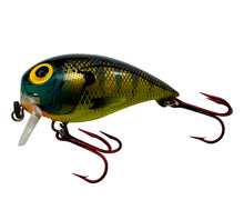 Charger l&#39;image dans la galerie, Left Facing View of STORM LURES SUBWART Size 7 Fishing Lure in BLUEGILL. Killer Wake Bait for Largemouth Bass &amp; Musky.
