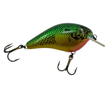 Charger l&#39;image dans la galerie, Right Facing View for COTTON CORDELL BIG O Fishing Lure in BLUEGILL. Fred Young’s Balsa Wood Crankbait. 
