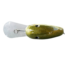 Load image into Gallery viewer, Back View of C-FLASH CRANKBAITS Handcrafted Deep Diver Fishing Lure in GREEN FOIL
