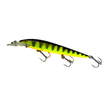 Load image into Gallery viewer, Left Faing View of Rare REBEL FASTRAC MINNOW Fishing Lure
