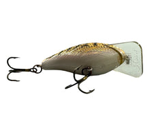 Lataa kuva Galleria-katseluun, Additional Belly View for REBEL FISHING LURES Square Lip WEE R SHALLOW Crankbait
