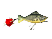 Load image into Gallery viewer, Fill Light Right Facing View of National Fishing Lure Collectors Club 2008 CLUB LURE • NFLCC Commemorative Fishing Lure • REND LAKE BASS

