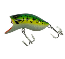 Load image into Gallery viewer, ARCADIA REEF BUTCH II MAGIC ACTION Wood Fishing Lure • AYU
