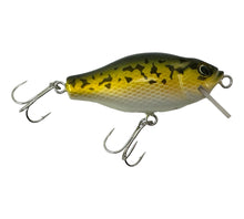 Lataa kuva Galleria-katseluun, Right Facing View of &nbsp;B.K. GANG SSD-55 Wood Fishing Lure in LARGEMOUTH BASS. Square Lip Collector Bait from Japan.
