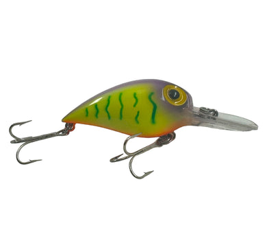 Right Facing View of STORM LURES MAGNUM WIGGLE WART Fishing Lure in PURPLE HOT TIGER