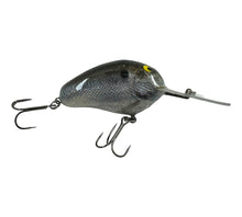 Load image into Gallery viewer, Right Facing View of Mango Enterprises C-Flash Crankbaits 44 CAL Fishing Lure in SHAD DFI
