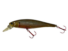 Load image into Gallery viewer, Left Facing View of LUCKY CRAFT REAL SKIN POINTER 100 RS Fishing Lure in GHOST MINNOW

