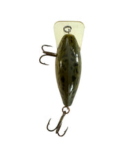 Lade das Bild in den Galerie-Viewer, Top View of REBEL LURES SQUARE LIP WEE R Fishing Lure in FROG
