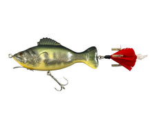 Load image into Gallery viewer, Fill Light Left Facing View of National Fishing Lure Collectors Club 2008 CLUB LURE • NFLCC Commemorative Fishing Lure • REND LAKE BASS
