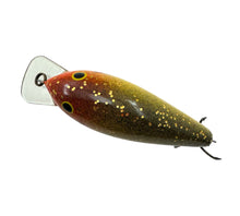 Charger l&#39;image dans la galerie, Back View for COTTON CORDELL BIG O Fishing Lure in PARROT. Fred Young’s Balsa Wood Crankbait
