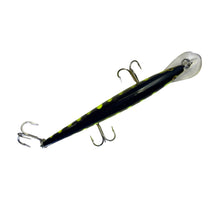 Load image into Gallery viewer, Top View of Rare REBEL FASTRAC MINNOW Fishing Lure

