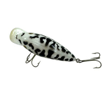 Load image into Gallery viewer, Back View of HEDDON LURES BIG HEDD Fishing Lure in COACHDOG
