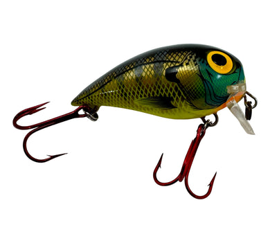 Right Facing View of STORM LURES SUBWART Size 7 Fishing Lure in BLUEGILL. Killer Wake Bait for Largemouth Bass & Musky.