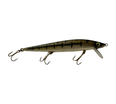 Right Facign View of  HEDDON HEDD HUNTER MINNOW Fishing Lure in BABY BASS