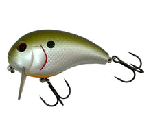 Lade das Bild in den Galerie-Viewer, Left Facing View of XCALIBUR HI-TEK TACKLE XW6 Wake Bait Fishing Lure in TENNESSEE SHAD
