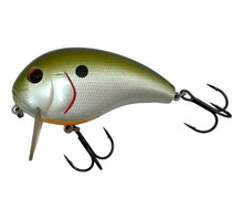 画像をギャラリービューアに読み込む, Left Facing View of XCALIBUR HI-TEK TACKLE XW6 Wake Bait Fishing Lure in TENNESSEE SHAD
