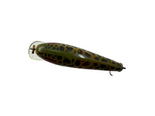 Lataa kuva Galleria-katseluun, Additional Back View of REBEL LURES F49 REBEL MINNOW Fishing Lure in NATURALIZED BROWN TROUT
