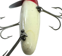 Load image into Gallery viewer, Tail View of FRED ARBOGAST MUSKY SIZE WOOD JITTERBUG in RED &amp; WHITE
