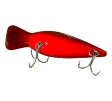 Load image into Gallery viewer, Belly View of STORM LURES ThinFin FATSO Fishing Lure in CRAWDAD
