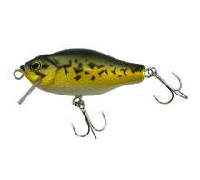 Lade das Bild in den Galerie-Viewer, Left Facing View of &nbsp;B.K. GANG SSD-55 Wood Fishing Lure in LARGEMOUTH BASS. Square Lip Collector Bait from Japan.
