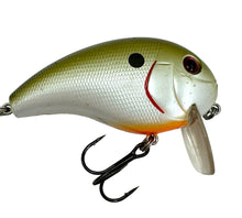 Lade das Bild in den Galerie-Viewer, Close Up View of XCALIBUR HI-TEK TACKLE XW6 Wake Bait Fishing Lure in TENNESSEE SHAD
