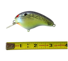 Load image into Gallery viewer, Tape MEasure View of BRIAN&#39;S BEES CRANKBAITS 2 1/2&quot; SQUARE BILL Fishing Lure. Available at Toad Tackle.
