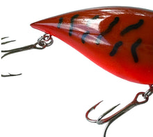 Lade das Bild in den Galerie-Viewer, Up Close Tail View of STORM LURES ThinFin FATSO Fishing Lure in CRAWDAD
