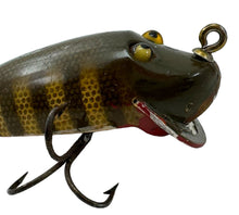 Load image into Gallery viewer, Up Close Glass EYes Pic of CREEK CHUB RIVER RUSTLER Fishing Lure in PIKE SCALE. Antique CCBCO Bait.
