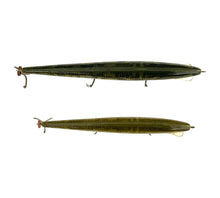 Lade das Bild in den Galerie-Viewer, Lot of 2 REBEL LURES 4.5&quot; &amp; 5.5&quot; MINNOW Fishing Lures • NATURALIZED PIKE
