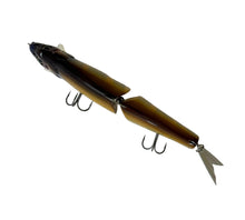 Load image into Gallery viewer, Top View of FISH ARROW IT-JACK Fishing Lure by itö ENGINEERING of JAPAN in HASU
