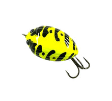 Lataa kuva Galleria-katseluun, Top View of SALMO LURES LIL BUG 3 FLOATING Fishing Lure in FLUORESCENT YELLOW BUMBLE BEE WASP
