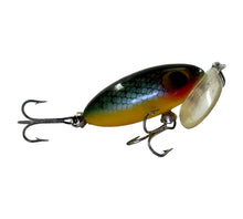 Load image into Gallery viewer, Right Facing View of ARBOGAST 1/4 oz JITTERBUG w/ CLEAR LIP Vintage Fishing Lure in PERCH

