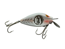 Lade das Bild in den Galerie-Viewer, Right Facing View of Antique SPINNO MINNO Fishing Lure in WHITE RIB
