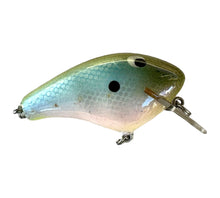 Lataa kuva Galleria-katseluun, Right Facing View of C-FLASH CRANKBAITS Handcrafted Square Bill  Fishing Lure in OLIVE BACK/BLUE SHAD
