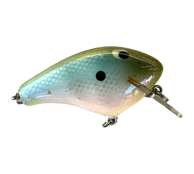 Right Facing View of C-FLASH CRANKBAITS Handcrafted Square Bill  Fishing Lure in OLIVE BACK/BLUE SHAD