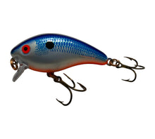 Load image into Gallery viewer, Left Facing View of Vintage Mann&#39;s Bait Company Baby 1- (One Minus) Fishing Lure in BLUE SHAD
