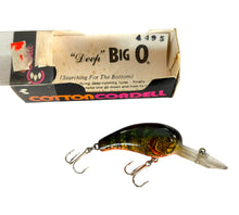Load image into Gallery viewer, COTTON CORDELL DEEP BIG O Fishing Lure w/Original Box &amp; Insert in NATURAL PERCH
