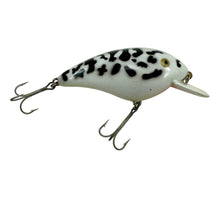 画像をギャラリービューアに読み込む, Right Facing View of HEDDON LURES BIG HEDD Fishing Lure in COACHDOG
