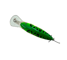 Load image into Gallery viewer, Top View of RAPALA DT THUG (Dives To) Fishing Lure in FIRE TIGER
