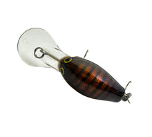 Load image into Gallery viewer, Top View of BAGLEY BAITS DB-1 Diving B1 Fishing Lure in HOT AMBER on GOLD
