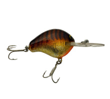 Load image into Gallery viewer, Right Facing View of BAGLEY BAITS DB-1 Diving B1 Fishing Lure in HOT AMBER on GOLD
