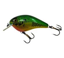 Cargar imagen en el visor de la galería, Left Facing View for COTTON CORDELL BIG O Fishing Lure in BLUEGILL. Fred Young’s Balsa Wood Crankbait. 
