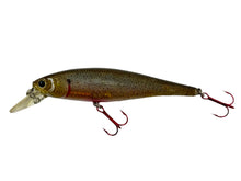 画像をギャラリービューアに読み込む, Left Facing View of LUCKY CRAFT REAL SKIN POINTER 100 RS Fishing Lure in GHOST MINNOW
