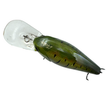 Charger l'image dans la galerie, RICK CLUNN LUCKY CRAFT RC 2.5 DDRT CRANKBAIT in PHANTOM WATERMELON CRAW. signed
