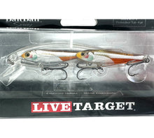 Load image into Gallery viewer, LIVE TARGET EMERALD SHINER BAITBALL SUSPENDING JERKBAIT mene emeraude
